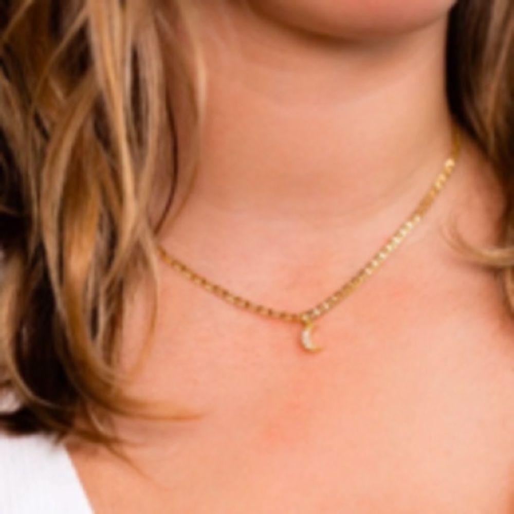 NWT Joy Dravecky Mini Moon Charm Necklace🌙✨